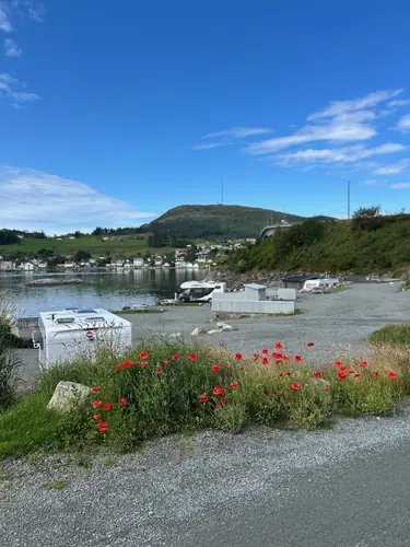 Røde valmuer i veikanten ned til campingplassen, med sjøen bak